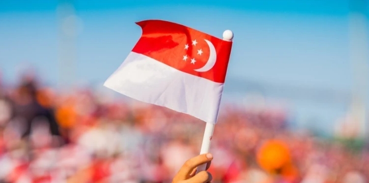 新加坡國慶期間售賣印有國徽 T 恤被認定違規（新加坡跨境賣家請注意）